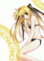 mahou_shoujo_lyrical_nanoha_-_lanyok_00589.jpg